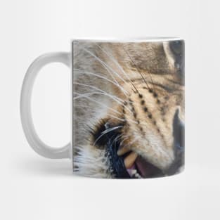 Löwe am Knochen /  Swiss Artwork Photography Mug